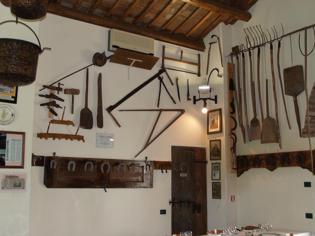 Agriturismo Le Clementine Badia Polesine Exteriér fotografie