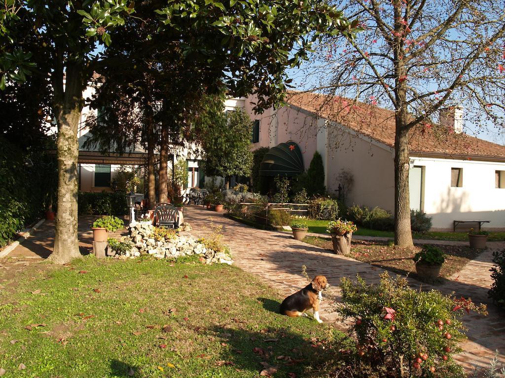 Agriturismo Le Clementine Badia Polesine Exteriér fotografie