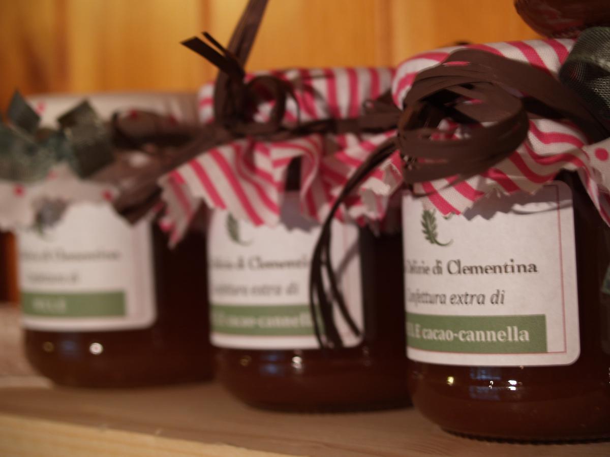 Agriturismo Le Clementine Badia Polesine Exteriér fotografie